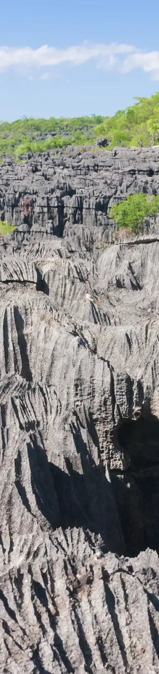 Bewundere die einzigartige Kalksteinlandschaft der Tsingys d’Ankarana